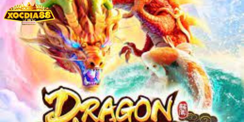 Dragon Legend Xocdia88 - Truy Tìm Truyền Thuyết Rồng Thiêng 3 Tại sao người tham gia nên chọn Xocdia88 để giải trí
